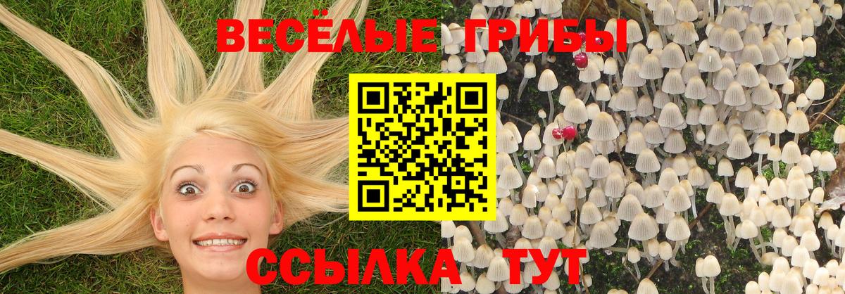 Кудрово  Галлюциногенные грибы прущие грибы  Вход с VPN 