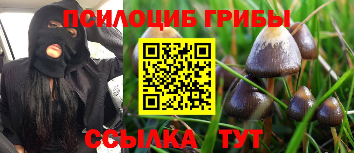 Галлюциногенные грибы Magic Shrooms Кудрово